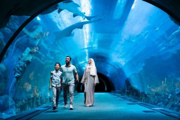Burj Khalifa 124th floor Prime hours + Dubai Aquarium & Underwater Zoo – Visit the World’s Tallest Building Copy