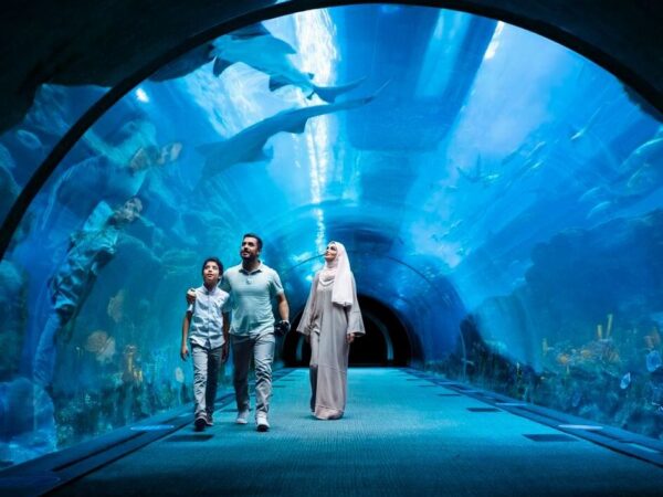 Burj Khalifa 124th floor Prime hours + Dubai Aquarium & Underwater Zoo – Visit the World’s Tallest Building Copy