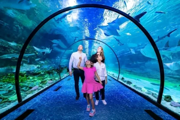 The National aquarium Abu Dhabi ticket