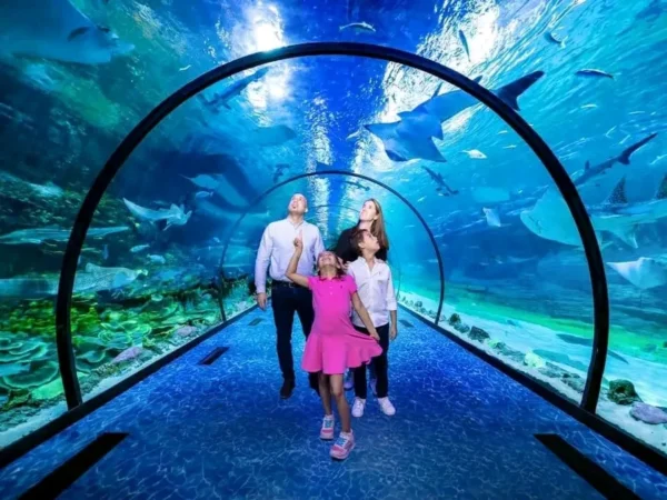 The National aquarium Abu Dhabi ticket