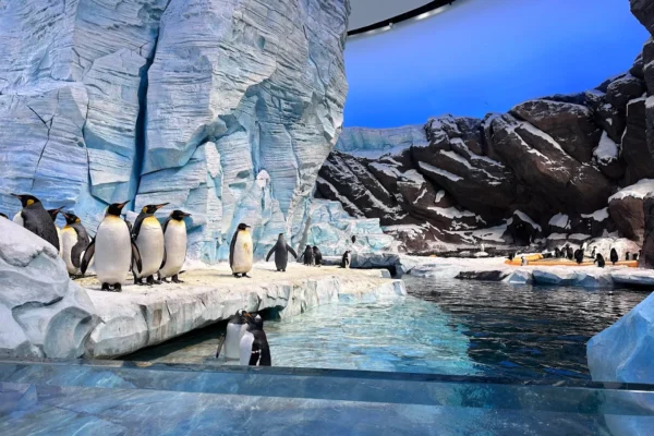 Sea World Abu Dhabi Yas Island