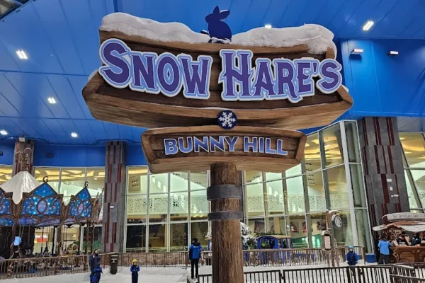 Snow park Abu Dhabi Premium Pass