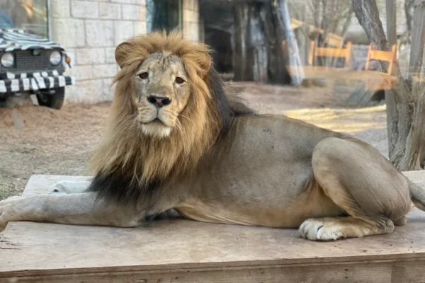 Emirates Park zoo Abu Dhabi Explorer Admission tickets