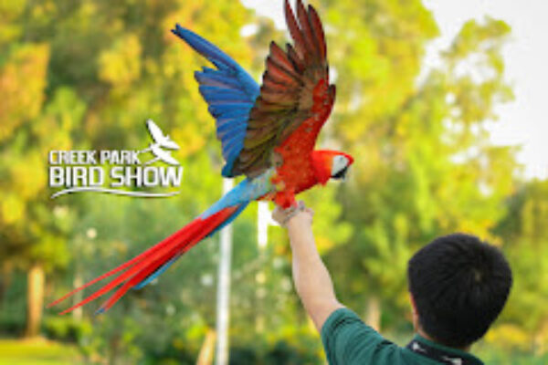 CREEK PARK EXOTIC BIRD SHOW TICKETS