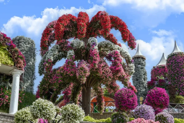 MIRACLE GARDEN + GLOBAL VILLAGE ( COMBO PACKAGE)