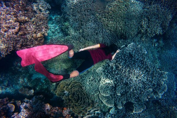DEEP DIVING -SNORKELLING (CHILD NOT APPLICABLE) FOR FIRST DIVERS