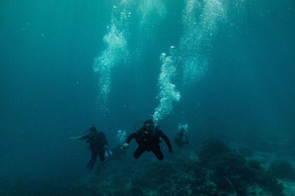 SCUBA DIVING- TICKETS WITH SHARING TRANSFER