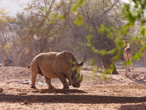 AL AIN ZOO WITH SHUTTLE SERVICES WEEKEND