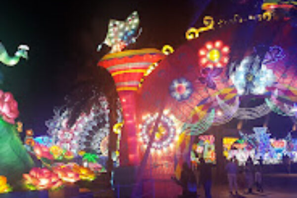 GLOW GARDEN & DINOSOUR PARK