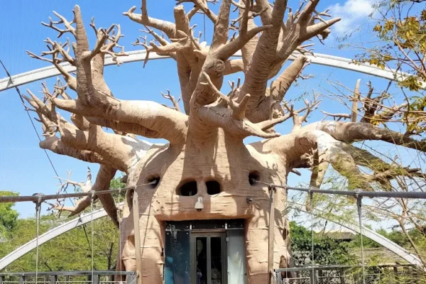 DUBAI SAFARI PARK – JOURNEY TICKETS